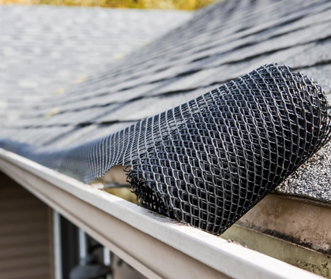 leaf-free-gutters-after-heavy-tree-coverage