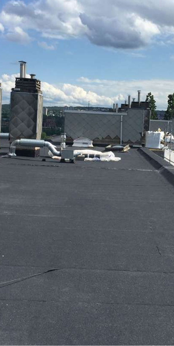 early-roof-signals-that-demand-immediate-professional-attention