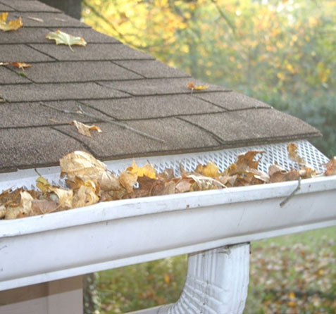 Long-Term Protection for Property Value