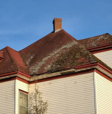 protection-from-moisture-and-mold
