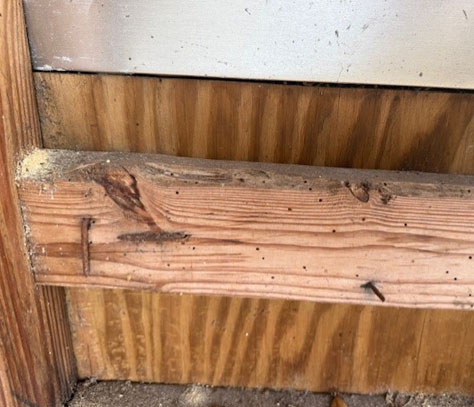 stop-hidden-wood-damage